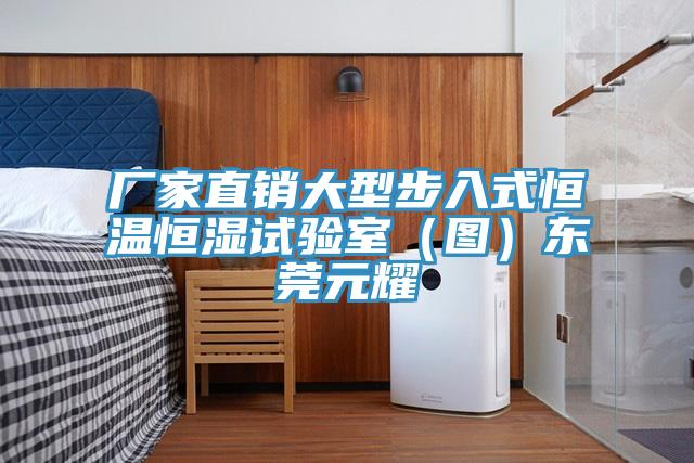 厂家直销大型步入式恒温恒湿试验室（图）东莞元耀