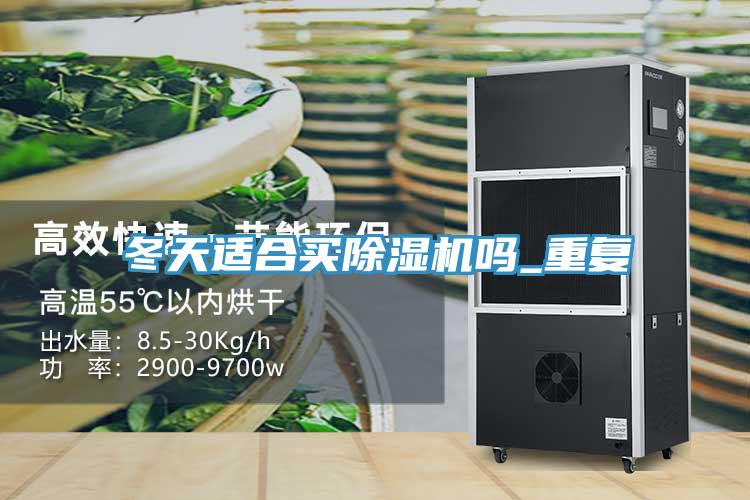 冬天适合买除湿机吗_重复