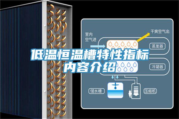 低温恒温槽特性指标内容介绍