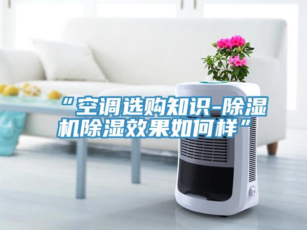 “空调选购知识-除湿机除湿效果如何样”