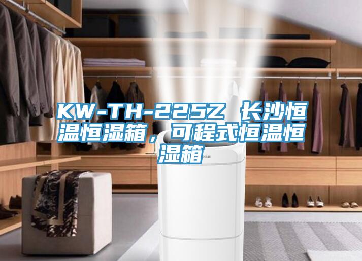 KW-TH-225Z 长沙恒温恒湿箱，可程式恒温恒湿箱