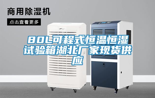 80L可程式恒温恒湿试验箱湖北厂家现货供应