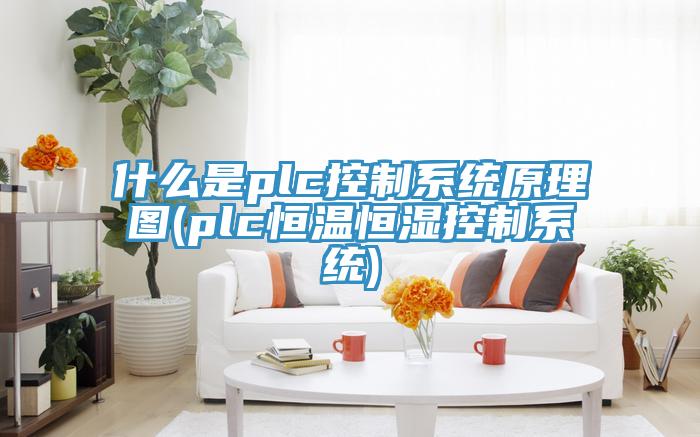 什么是plc控制系统原理图(plc恒温恒湿控制系统)