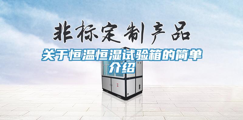 关于恒温恒湿试验箱的简单介绍