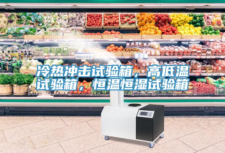 冷热冲击试验箱，高低温试验箱，恒温恒湿试验箱