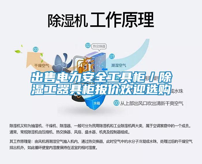 出售电力安全工具柜／除湿工器具柜报价欢迎选购