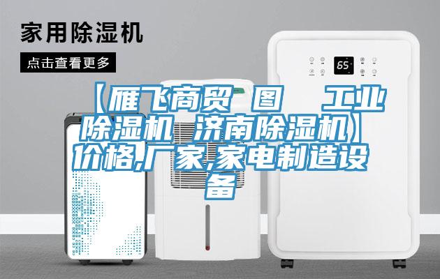 【雁飞商贸 图  工业除湿机 济南除湿机】价格,厂家,家电制造设备