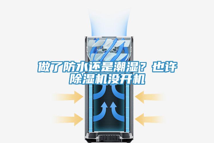 做了防水还是潮湿？也许除湿机没开机