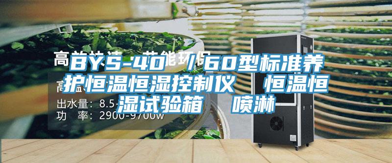 BYS-40 ／60型标准养护恒温恒湿控制仪  恒温恒湿试验箱  喷淋