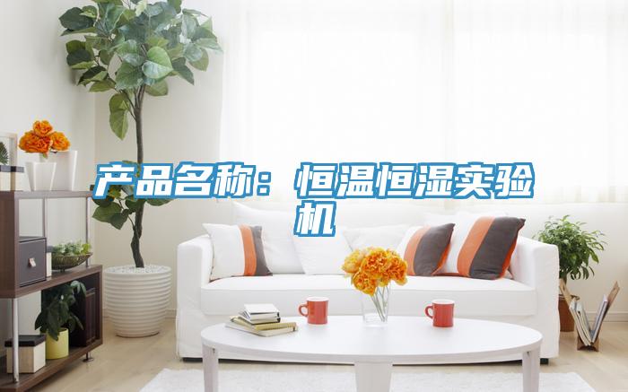 产品名称：恒温恒湿实验机