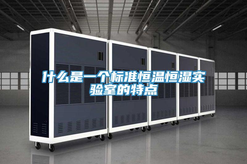 什么是一个标准恒温恒湿实验室的特点