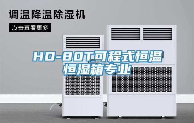 HD-80T可程式恒温恒湿箱专业