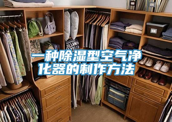 一种除湿型空气净化器的制作方法