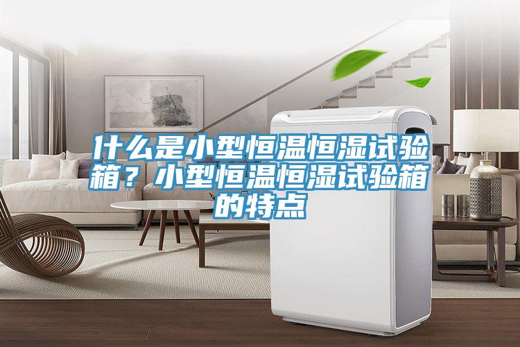 什么是小型恒温恒湿试验箱？小型恒温恒湿试验箱的特点