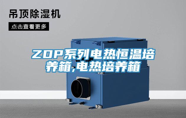 ZDP系列电热恒温培养箱,电热培养箱