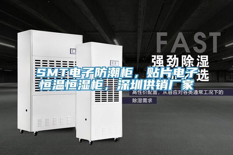 SMT电子防潮柜，贴片电子恒温恒湿柜，深圳供销厂家