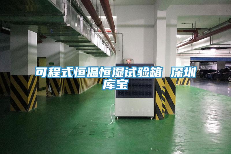 可程式恒温恒湿试验箱 深圳库宝