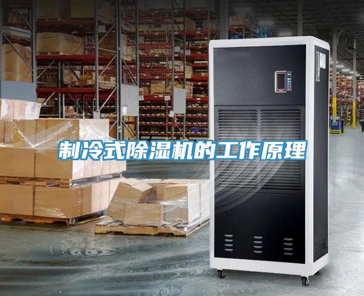制冷式除湿机的工作原理