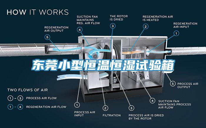 东莞小型恒温恒湿试验箱