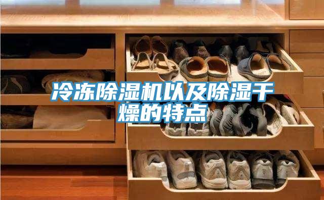 冷冻除湿机以及除湿干燥的特点