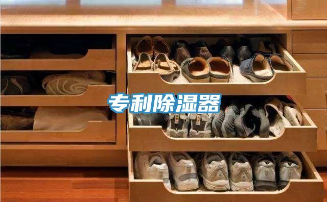专利除湿器