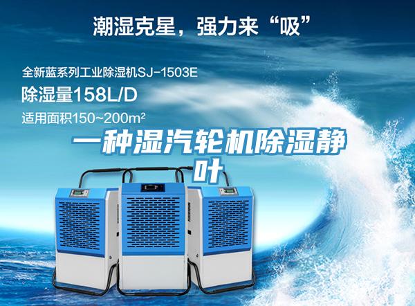 一种湿汽轮机除湿静叶