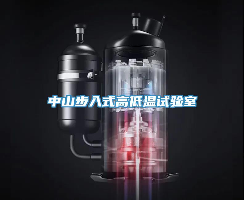 中山步入式高低温试验室