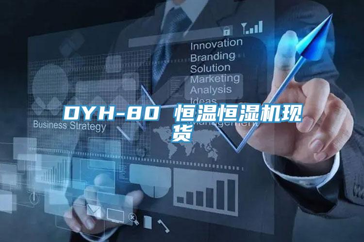 DYH-80 恒温恒湿机现货