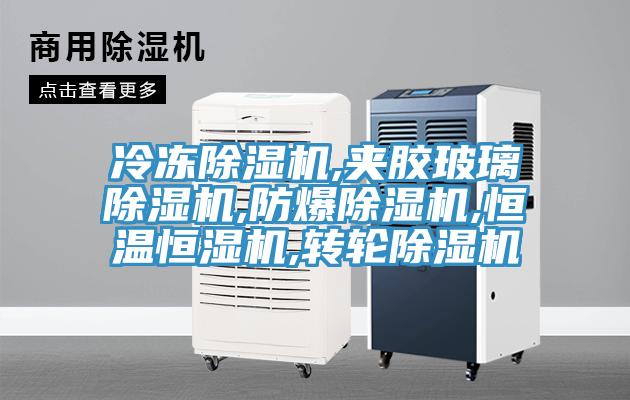 冷冻除湿机,夹胶玻璃除湿机,防爆除湿机,恒温恒湿机,转轮除湿机