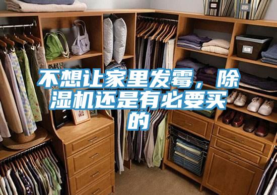不想让家里发霉，除湿机还是有必要买的