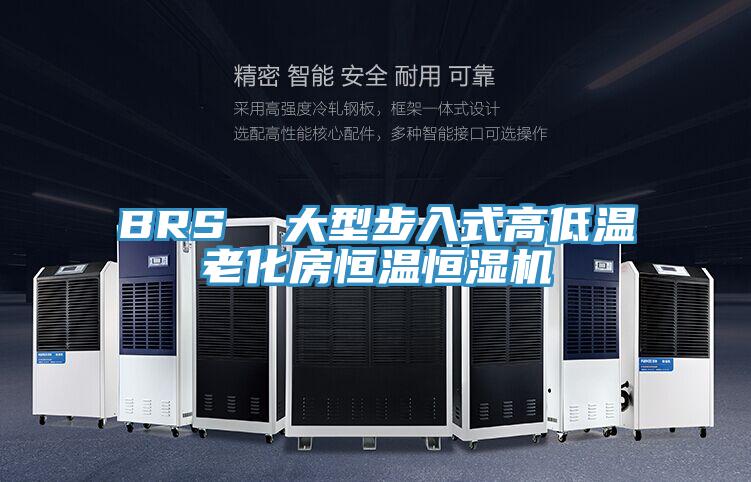 BRS  大型步入式高低温老化房恒温恒湿机
