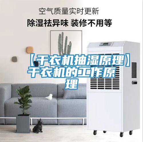 【干衣机抽湿原理】干衣机的工作原理
