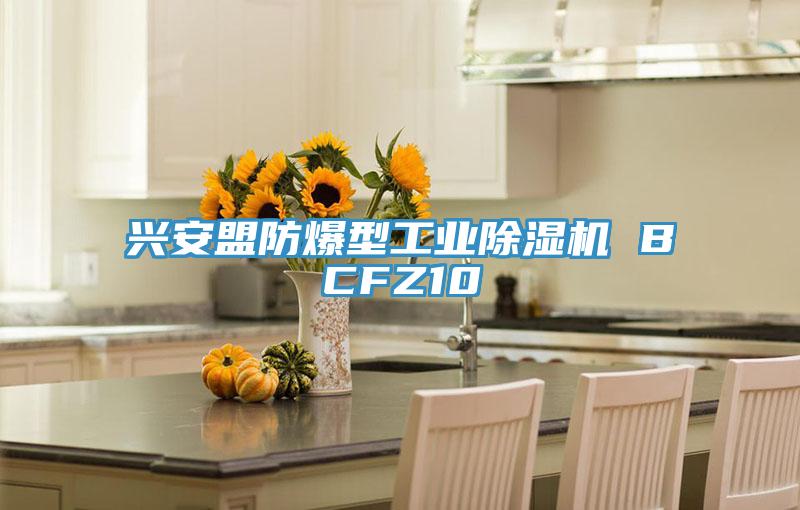 兴安盟防爆型工业除湿机 BCFZ10