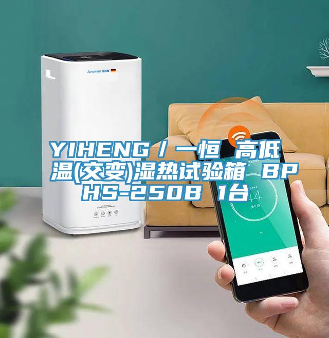 YIHENG／一恒 高低温(交变)湿热试验箱 BPHS-250B 1台