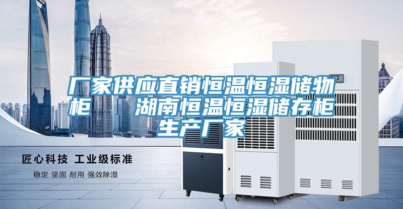 厂家供应直销恒温恒湿储物柜   湖南恒温恒湿储存柜生产厂家