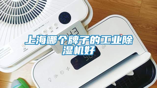 上海哪个牌子的工业除湿机好