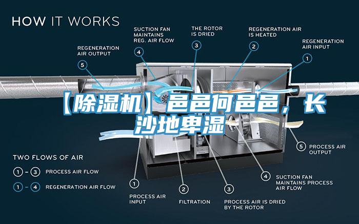 【除湿机】邑邑何邑邑，长沙地卑湿