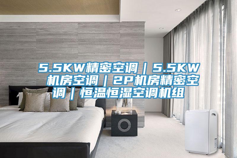 5.5KW精密空调｜5.5KW 机房空调｜2P机房精密空调｜恒温恒湿空调机组