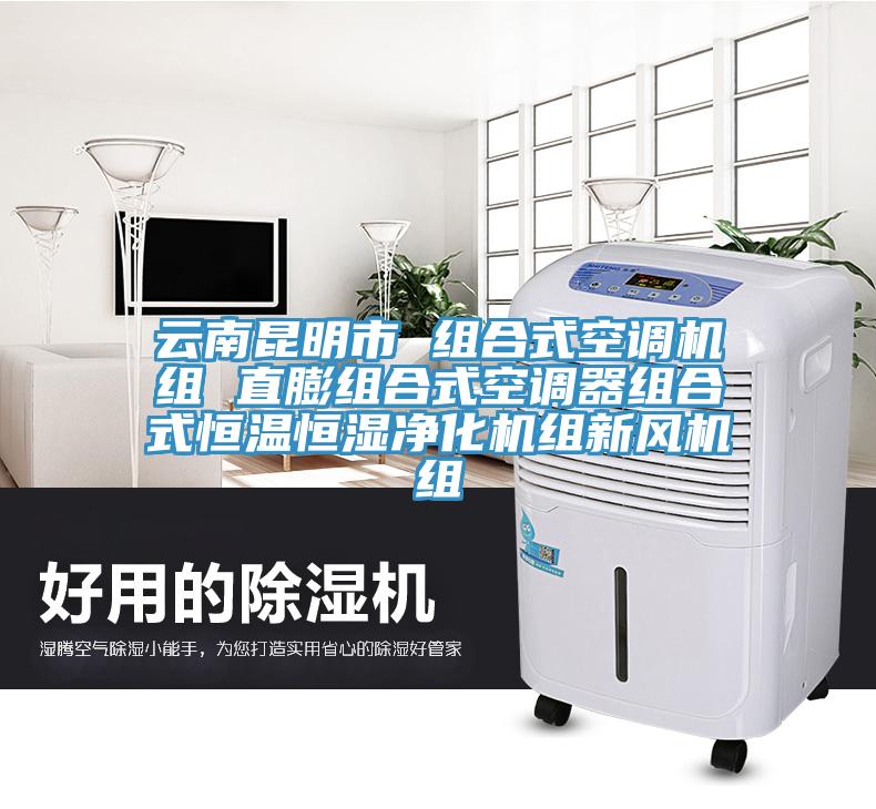 云南昆明市 组合式空调机组 直膨组合式空调器组合式恒温恒湿净化机组新风机组