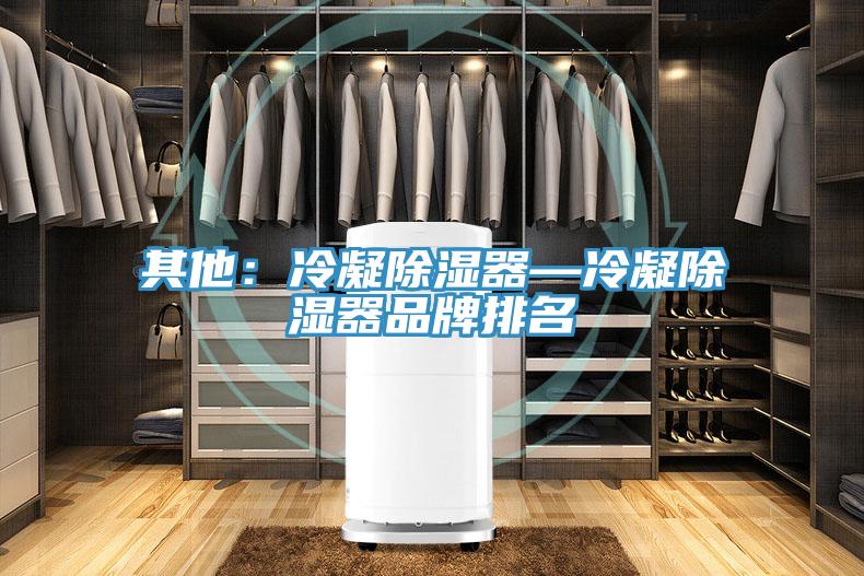 其他：冷凝除湿器—冷凝除湿器品牌排名