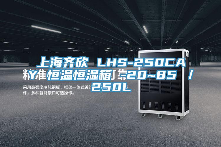 上海齐欣 LHS-250CAY 恒温恒湿箱 -20~85℃／250L