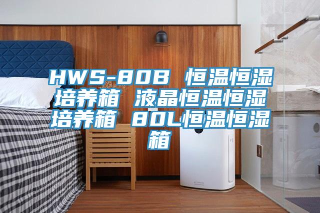 HWS-80B 恒温恒湿培养箱 液晶恒温恒湿培养箱 80L恒温恒湿箱