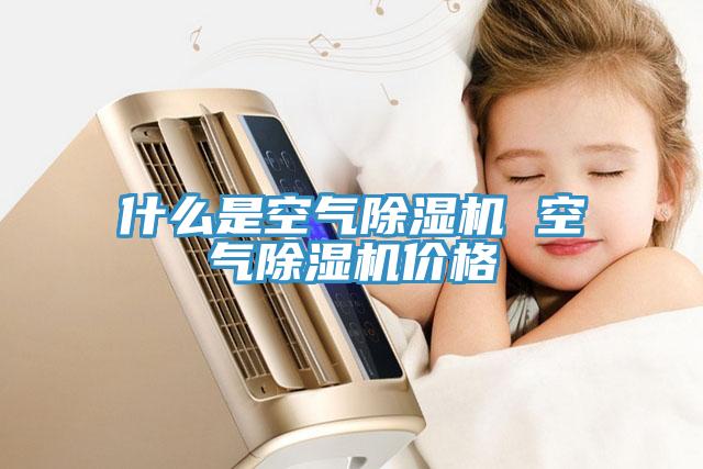 什么是空气除湿机 空气除湿机价格