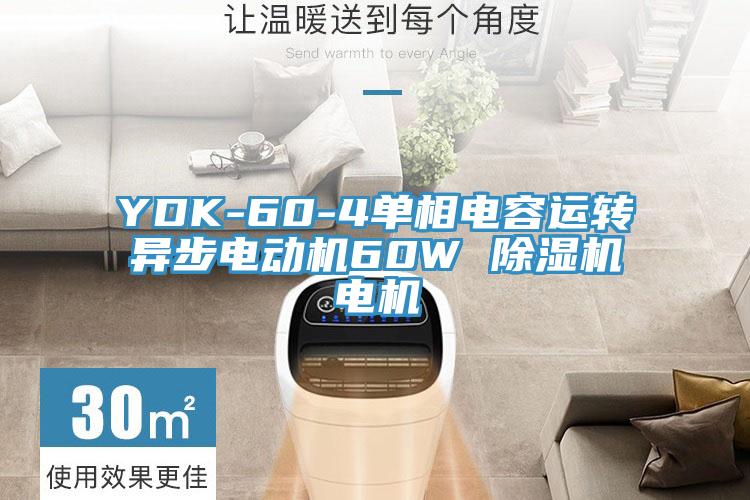 YDK-60-4单相电容运转异步电动机60W 除湿机电机