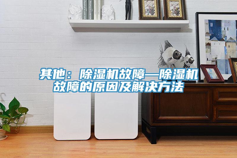 其他：除湿机故障—除湿机故障的原因及解决方法
