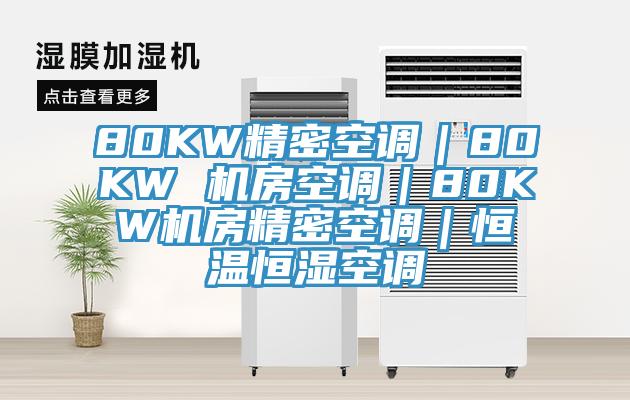 80KW精密空调｜80KW 机房空调｜80KW机房精密空调｜恒温恒湿空调