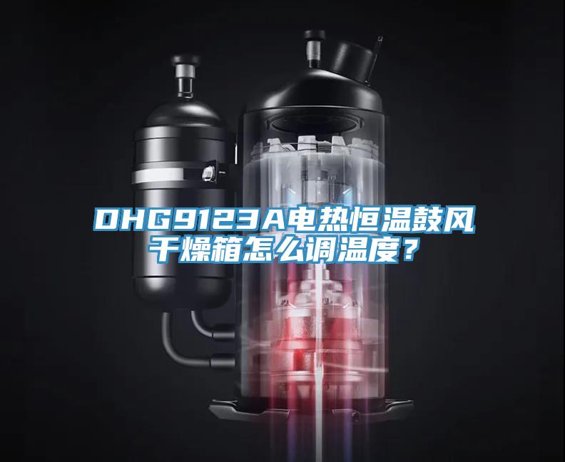 DHG9123A电热恒温鼓风干燥箱怎么调温度？
