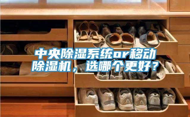 中央除湿系统or移动除湿机，选哪个更好？