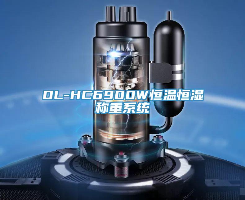DL-HC6900W恒温恒湿称重系统