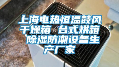 上海电热恒温鼓风干燥箱 台式烘箱 除湿防潮设备生产厂家